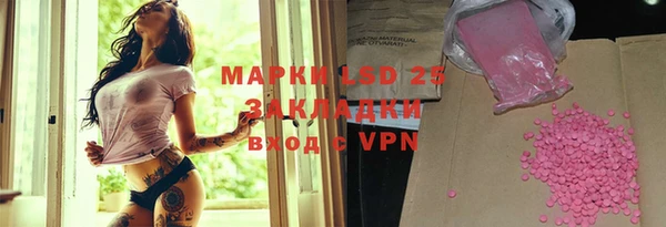 прущие грибы Богданович
