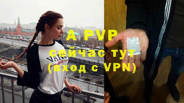 дживик Беломорск