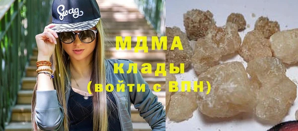 прущие грибы Богданович