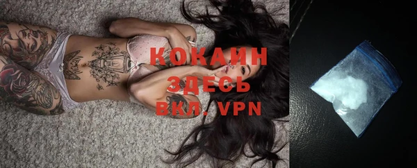 ECSTASY Богородицк
