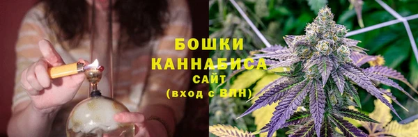 дживик Беломорск