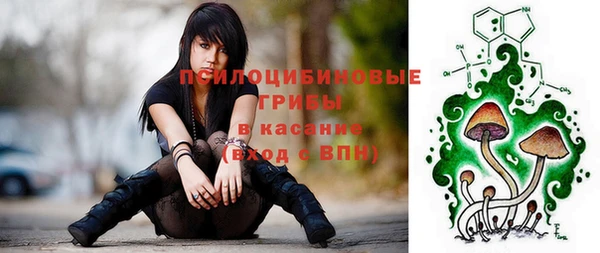 винт Белокуриха