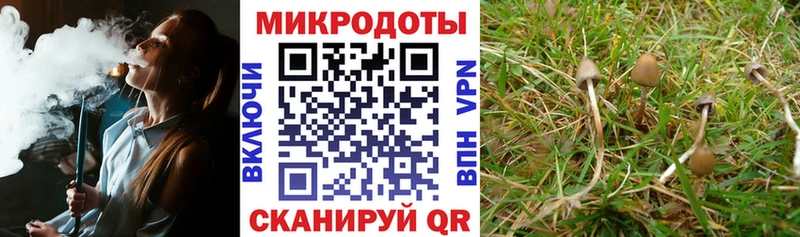 где найти наркотики  Верещагино  Галлюциногенные грибы мухоморы 